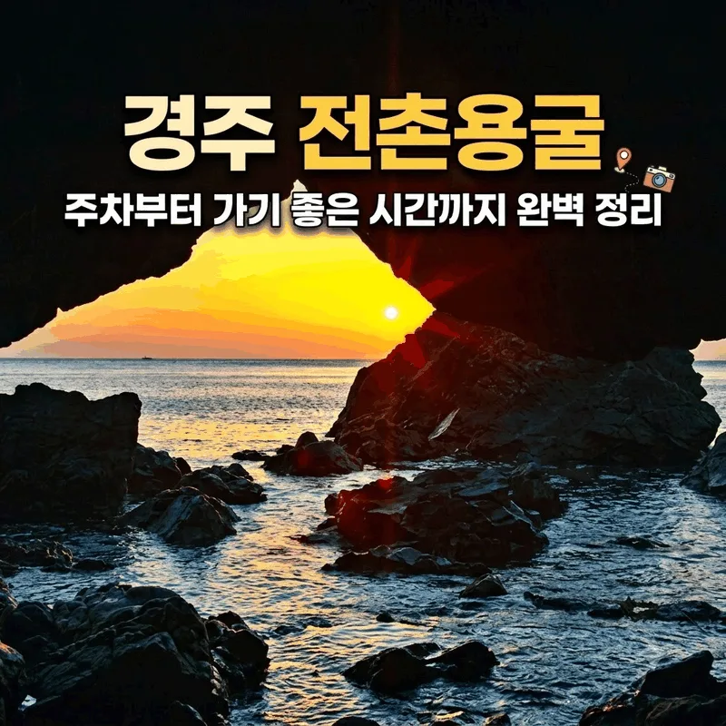 경주 전촌용굴 주차부터 가기 좋은 시간까지 완벽 정리