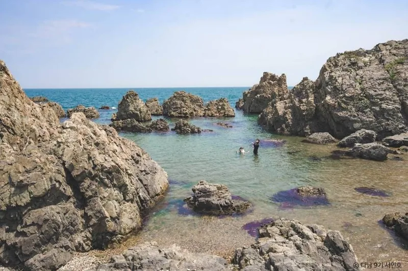 지경리해변(경주)