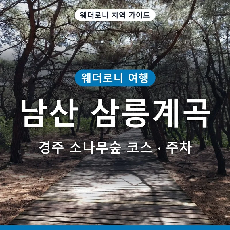 경주 남산 삼릉계곡 탐방로 가을 소나무숲 코스와 주차 팁 완벽 정리