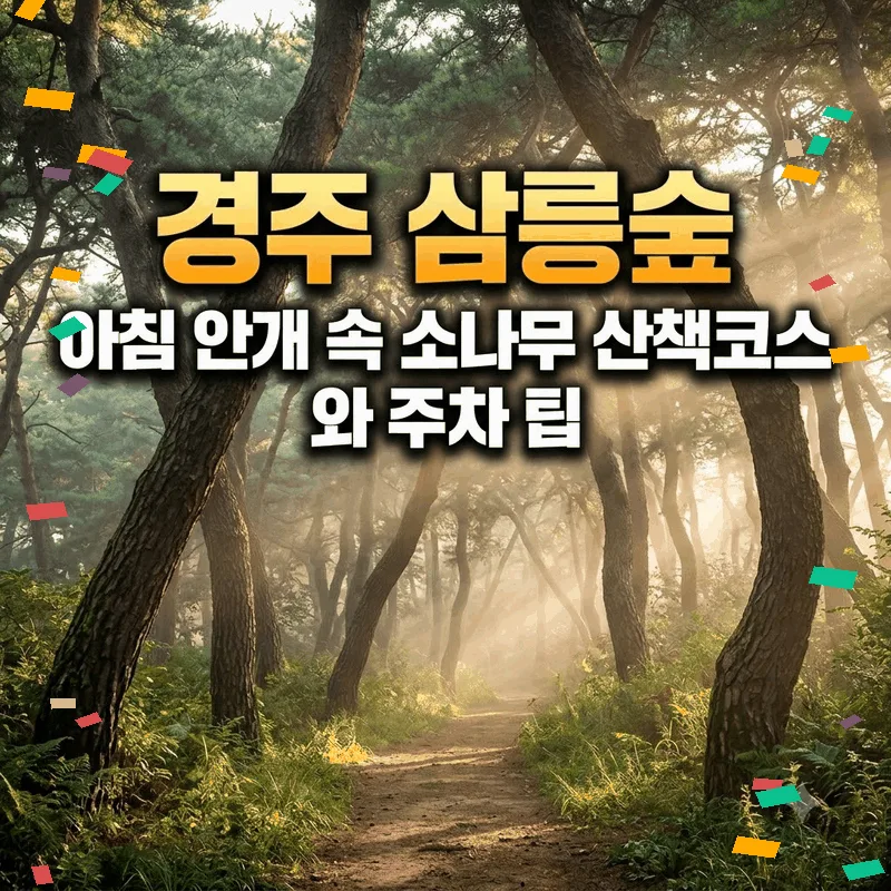 경주 삼릉숲 아침 안개 속 소나무 산책 코스와 주차 팁