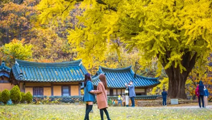 운곡서원 가을 풍경 / 사진=경주문화관광