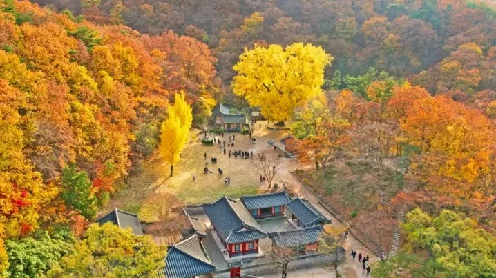 운곡서원 가을 전경 / 사진=경주문화관광
