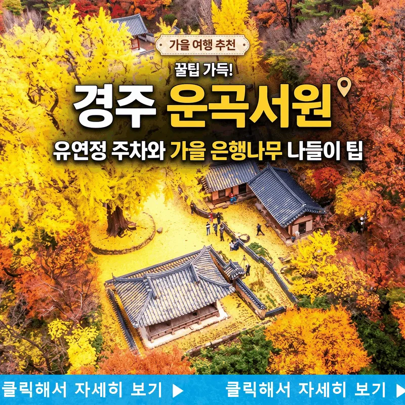 경주 운곡서원 유연정 주차와 가을 은행나무 나들이 팁