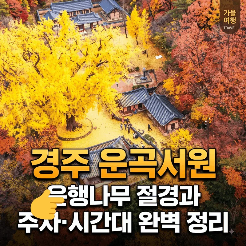 경주 운곡서원 은행나무 절경과 주차·시간대 완벽 정리
