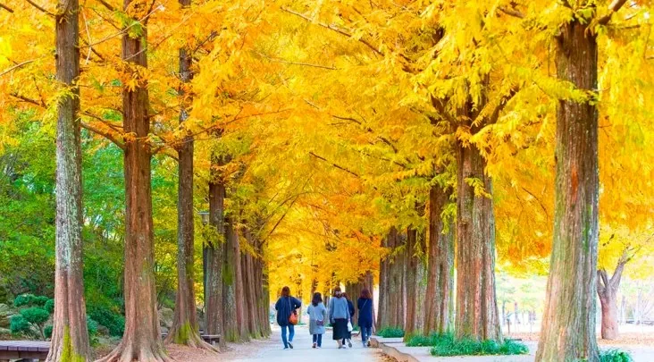 경상남도수목원 가을 절경 / 사진=경상남도 공식블로그