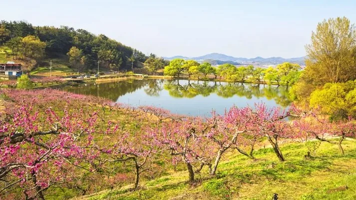 반곡지 풍경 / 사진=게티이미지뱅크