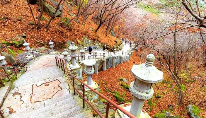 팔공산 갓바위 계단길 / 사진=ⓒ한국관광공사 양지뉴 필름