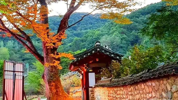 회연서원 모습 / 사진=성주군 공식 블로그
