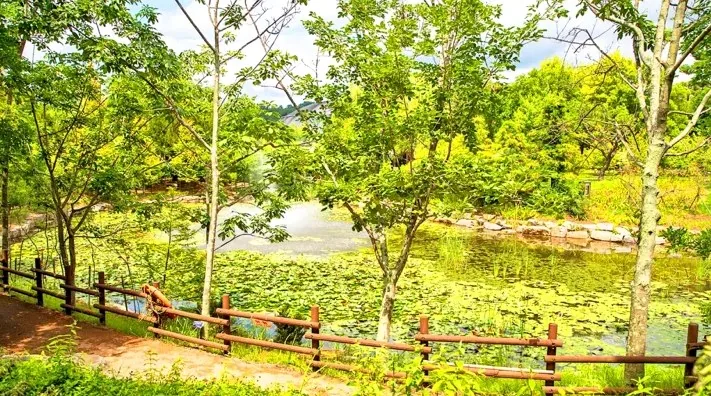 경상남도수목원 수변 풍경 / 사진=한국관광콘텐츠랩