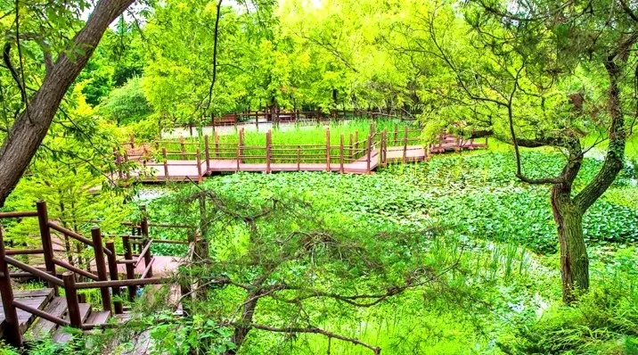 경상남도수목원 풍경 / 사진=한국관광콘텐츠랩