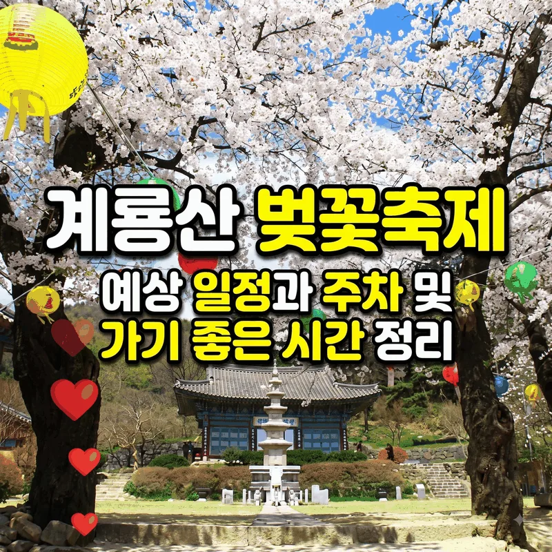 계룡산 벚꽃축제 예상 일정과 주차 및 가기 좋은 시간 정리