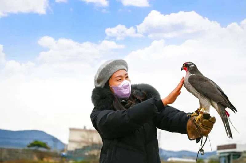 고성군 독수리 체험 / 사진=온라인커뮤니티
