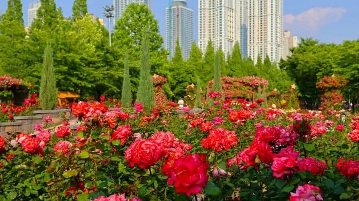 해돋이공원 / 사진=인천광역시 공식블로그 장은영