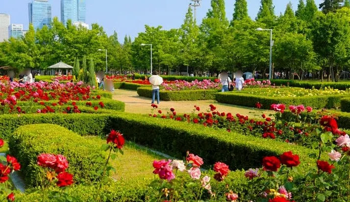 해돋이공원 / 사진=인천광역시 공식블로그 장은영