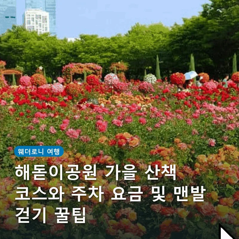해돋이공원 가을 산책 코스와 주차 요금 및 맨발 걷기 꿀팁