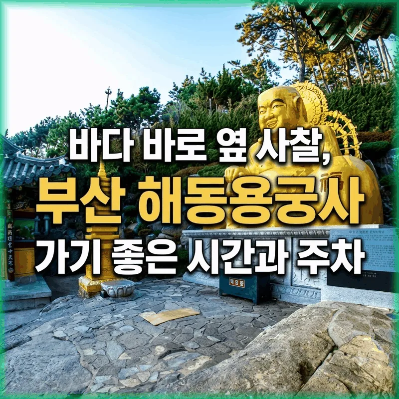 바다 바로 옆 사찰, 부산 해동용궁사 가기 좋은 시간과 주차