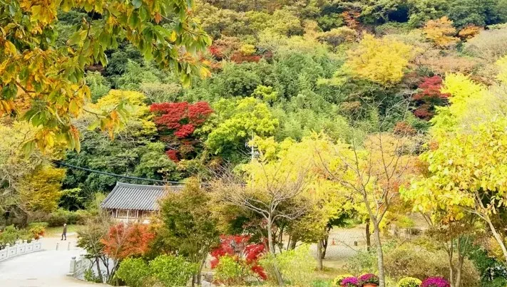 대흥사 두륜산 / 사진=해남 공식 블로그 김소희