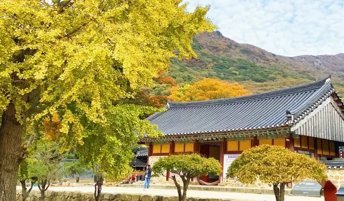 대흥사 전경 / 사진=해남 공식 블로그 김소희