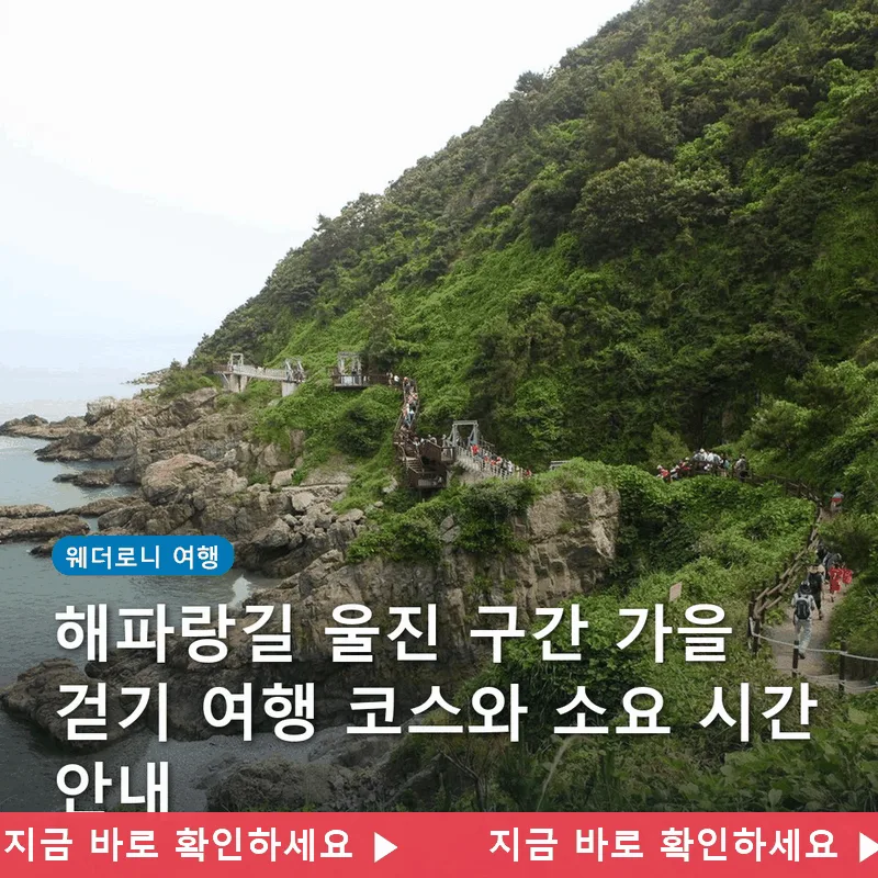 해파랑길 울진 구간 가을 걷기 여행 코스와 소요 시간 안내