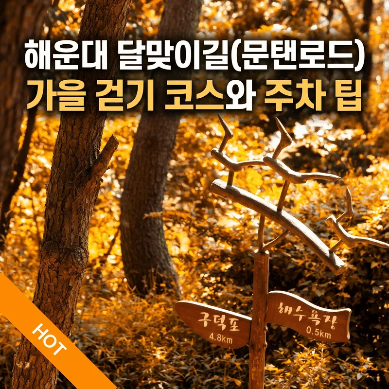 해운대 달맞이길(문탠로드) 가을 걷기 코스와 주차 팁