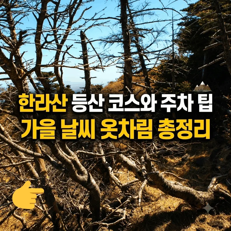 한라산 등산 코스와 주차 팁, 가을 날씨 옷차림 총정리