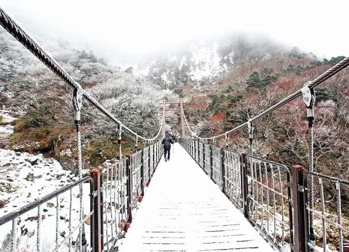 한라산 상고대 / 사진=게티이미지뱅크