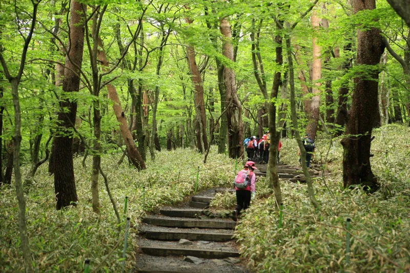 한라산
