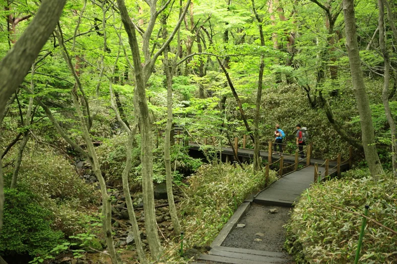 한라산