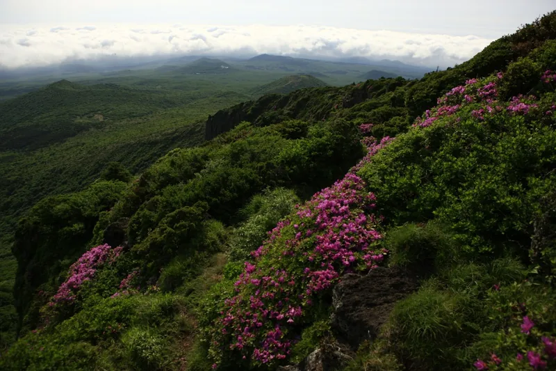 한라산