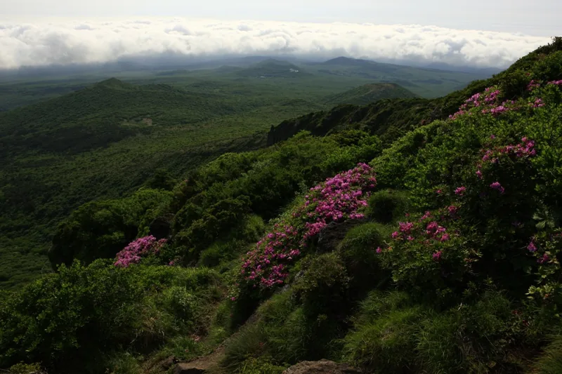 한라산