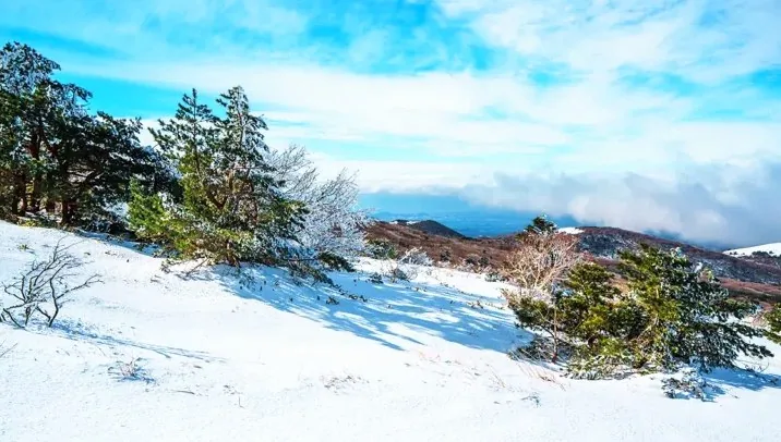 한라산 설경 / 사진=게티이미지뱅크