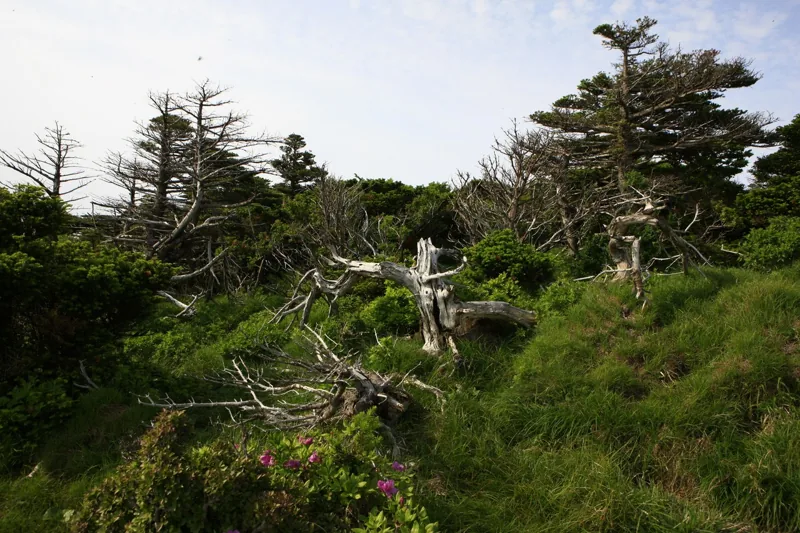 한라산