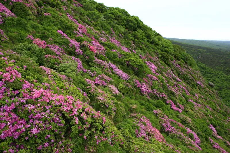한라산