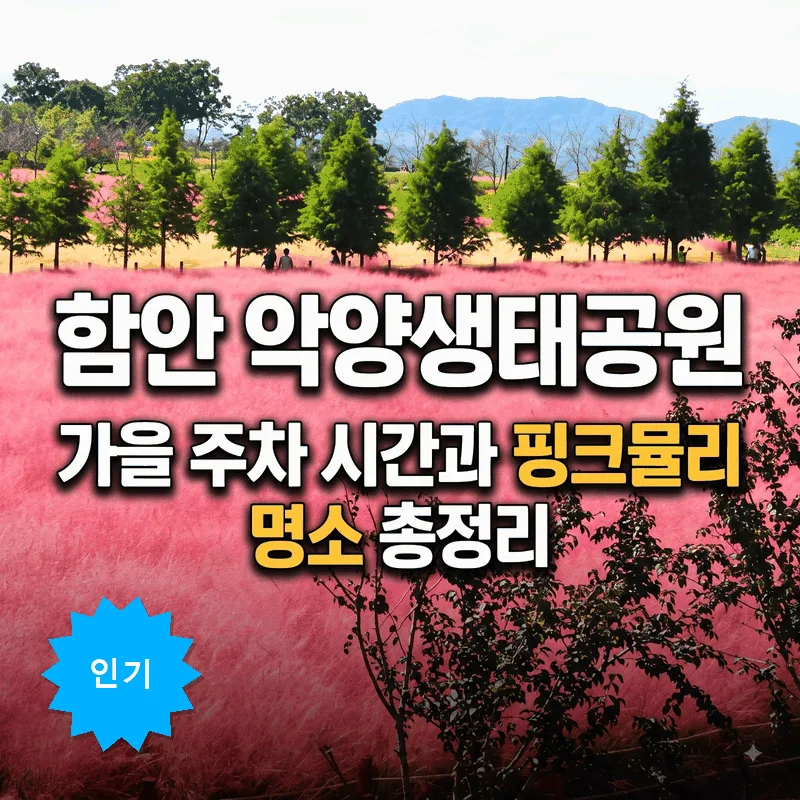 함안 악양생태공원 가을 주차 시간과 핑크뮬리 명소 총정리