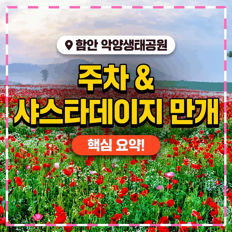 함안 악양생태공원 주차와 샤스타데이지 만개 시기 핵심 정리