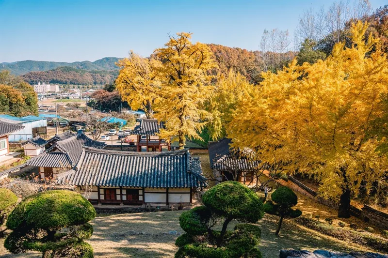 함안향교