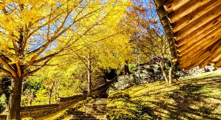 함안향교 돌계단 / 사진=함안 공식블로그 전수현