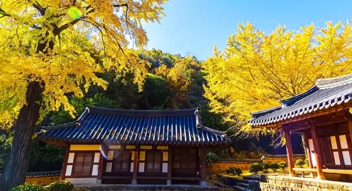 함안향교 가을 / 사진=함안 공식블로그 전수현