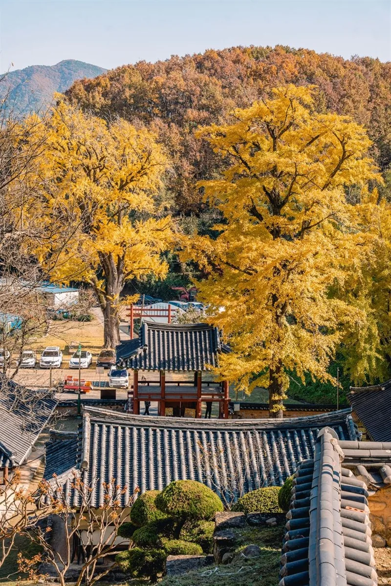 함안향교
