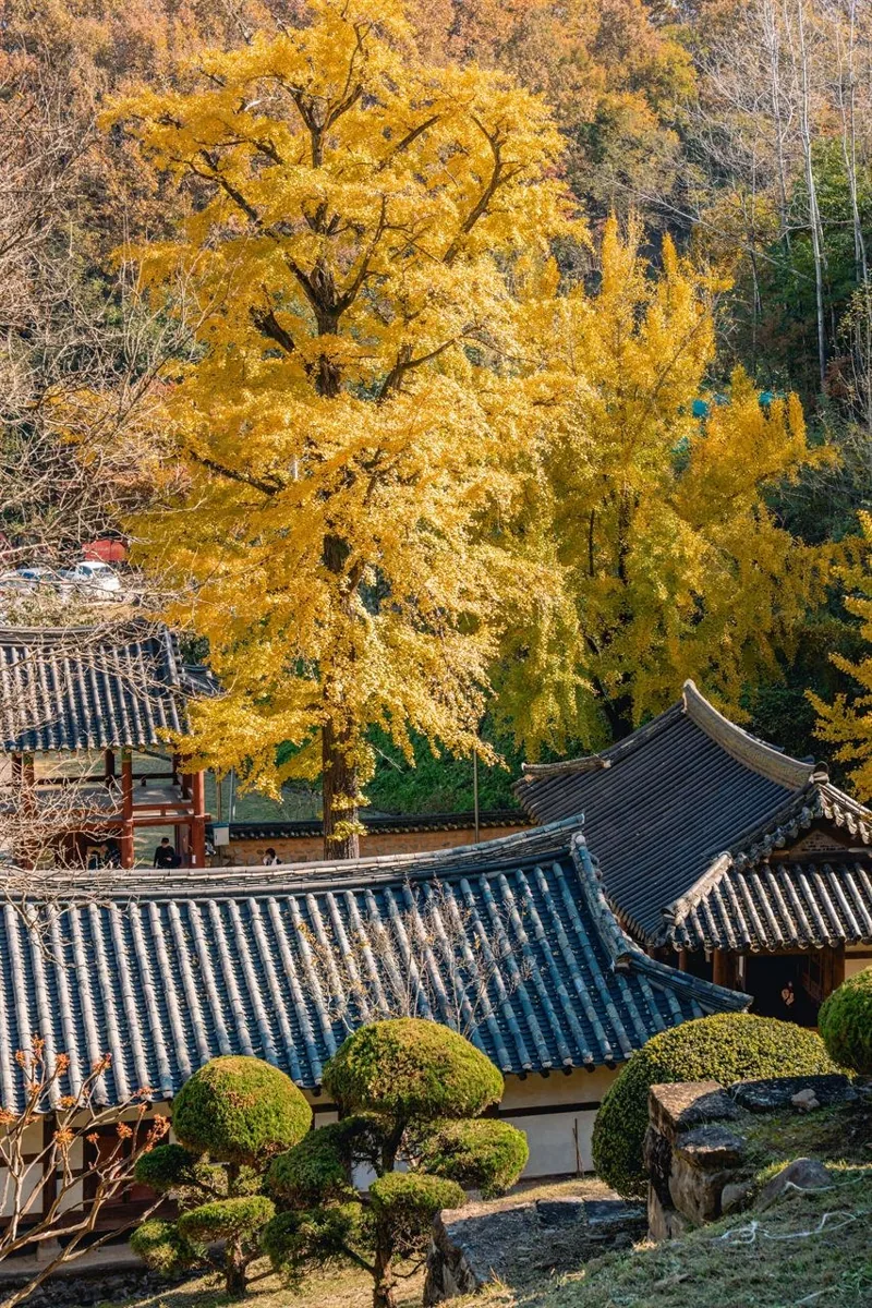함안향교