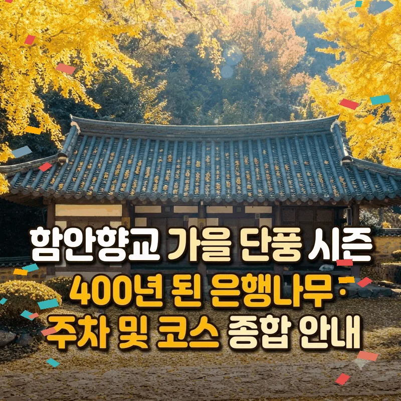 함안향교 가을 단풍 시기 400년 은행나무 주차와 코스 총정리