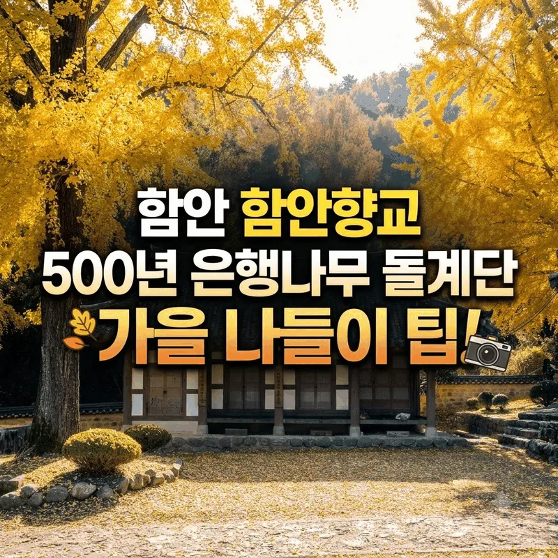 함안 함안향교 500년 은행나무 돌계단 가을 나들이 팁