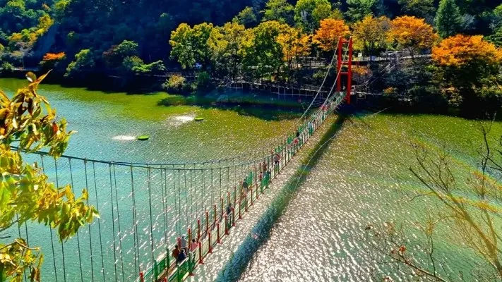 함안 입곡저수지 출렁다리 / 사진=함안 공식블로그 전수연