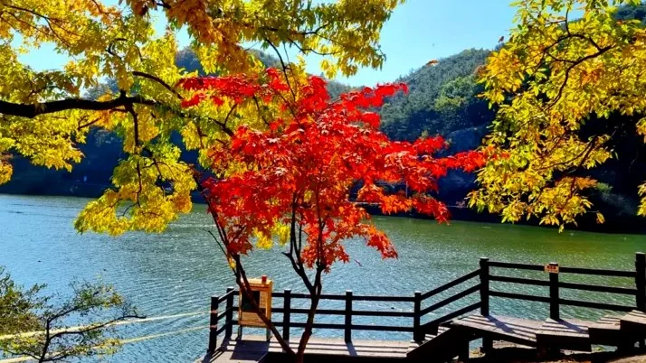 함안 입곡군립공원 / 사진=함안 공식블로그 전수연