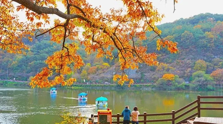 입곡저수지 가을 풍경 / 사진=경상남도 공식 블로그 고은주