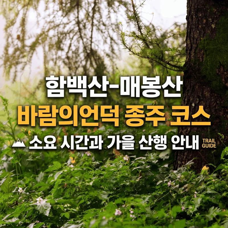 함백산-매봉산 바람의언덕 종주 코스 소요 시간과 가을 산행 안내