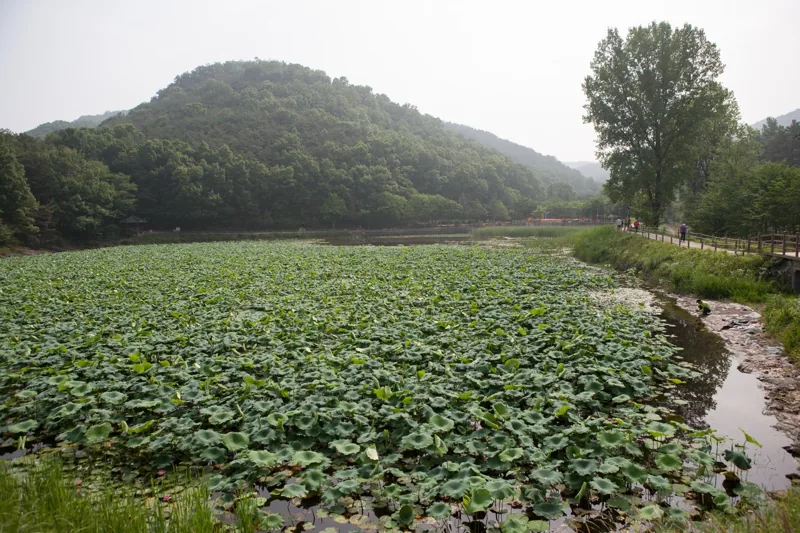 운암지