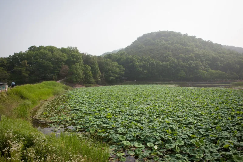 운암지