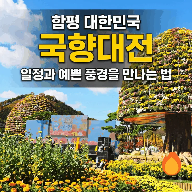 함평 대한민국 국향대전 일정과 예쁜 풍경을 만나는 법