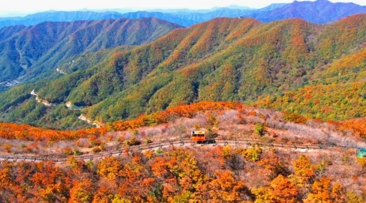 함양대봉산휴양밸리 모노레일 전경 / 사진=경상남도 공식 블로그